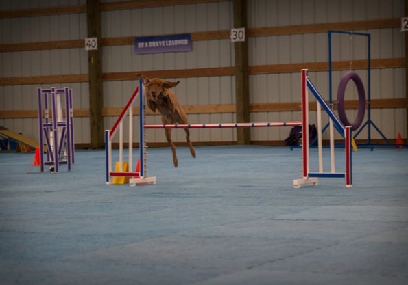 SAC Fun Match Sept 2016-60