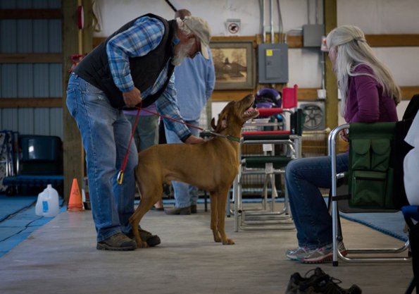 SAC Fun Match Sept 2016-61