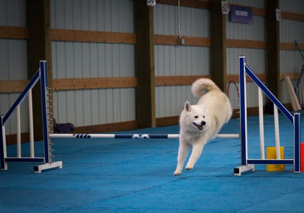 SAC Fun Match Sept 2016-6