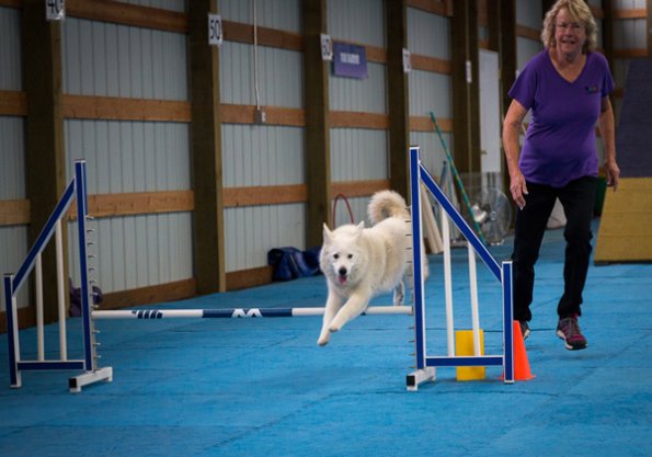 SAC Fun Match Sept 2016-7