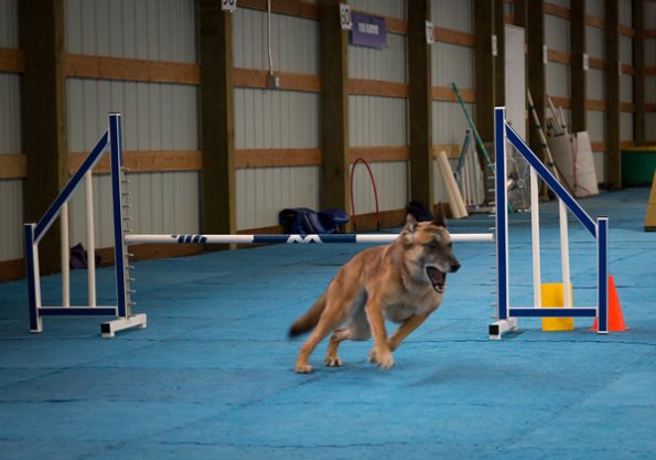 SAC Fun Match Sept 2016-8