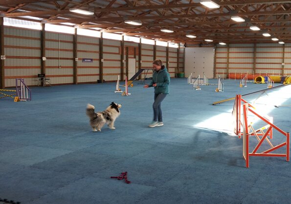 2017-01-14-FunMatch10