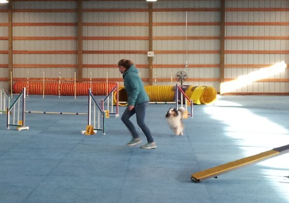 2017-01-14-FunMatch11