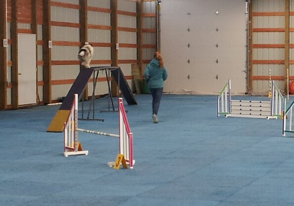 2017-01-14-FunMatch12