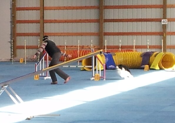 2017-01-14-FunMatch13