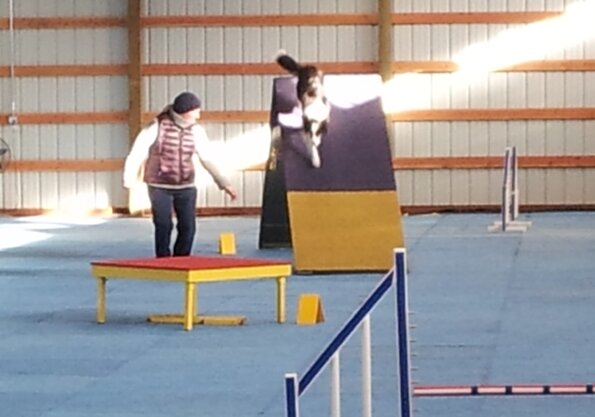 2017-01-14-FunMatch15