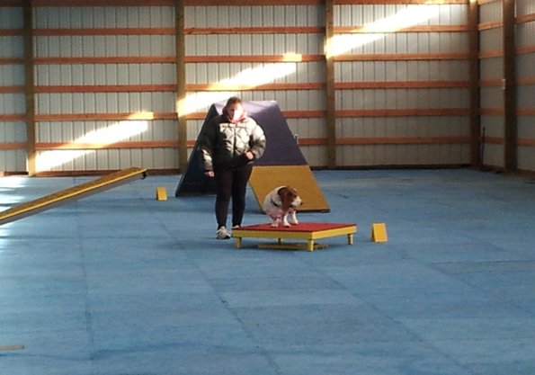 2017-01-14-FunMatch2