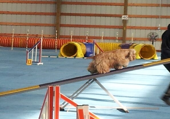 2017-01-14-FunMatch4