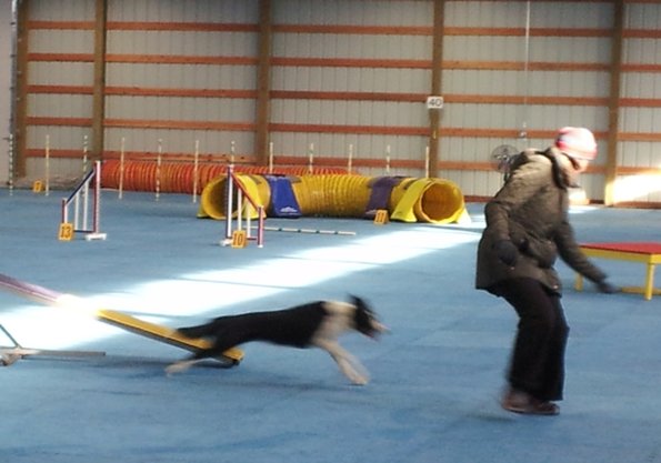 2017-01-14-FunMatch6