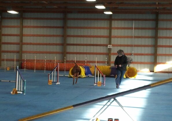 2017-01-14-FunMatch7