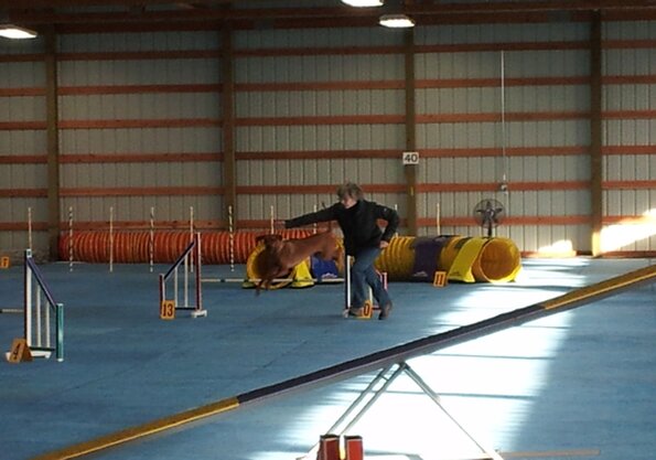 2017-01-14-FunMatch8